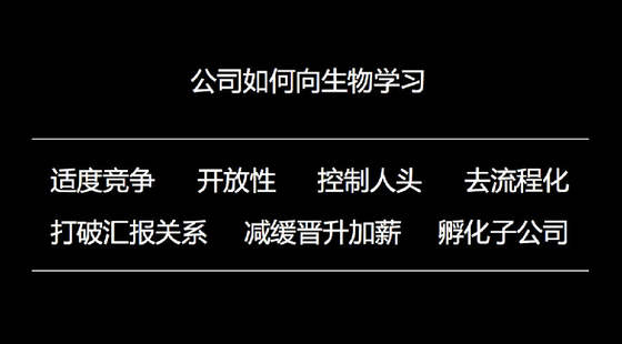 王小川談企業(yè)成長(zhǎng)：從蝴蝶效應(yīng)到六爻八卦